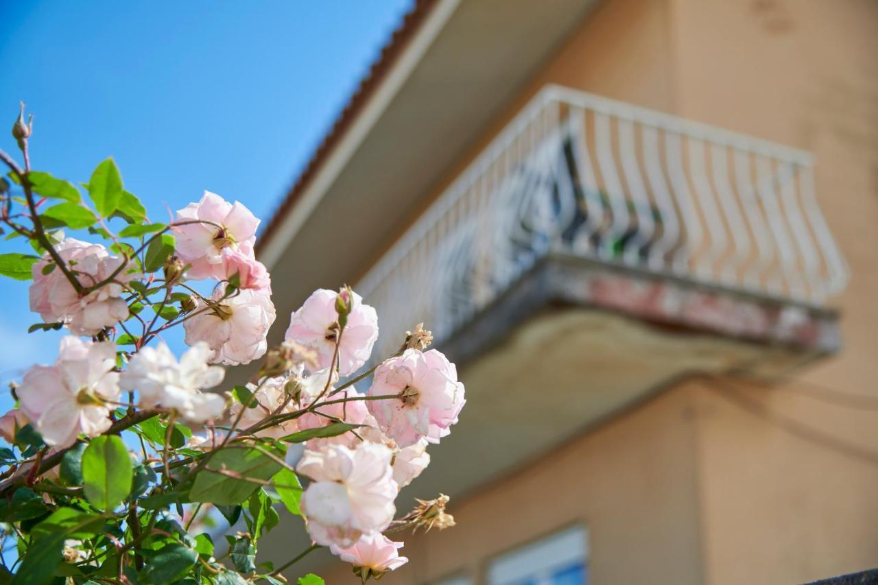 Bright Apartment With Garden In Cascais Dış mekan fotoğraf
